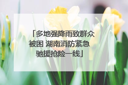 多地强降雨致群众被困 湖南消防紧急驰援抢险一线